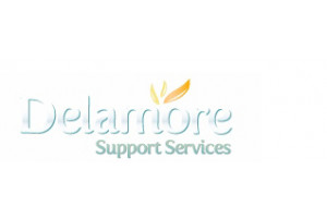 Delamore Support Servicesedit 696x130 Copy