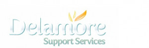 Delamore Support Servicesedit 696x130 Copy