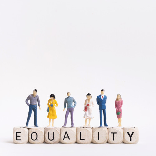 equality written wooden cubes people ResizedImageWzUwMCw1MDBd